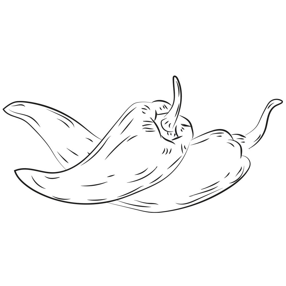 Line art illustration of two chili peppers resting together, showcasing their elongated shapes and curved stems.